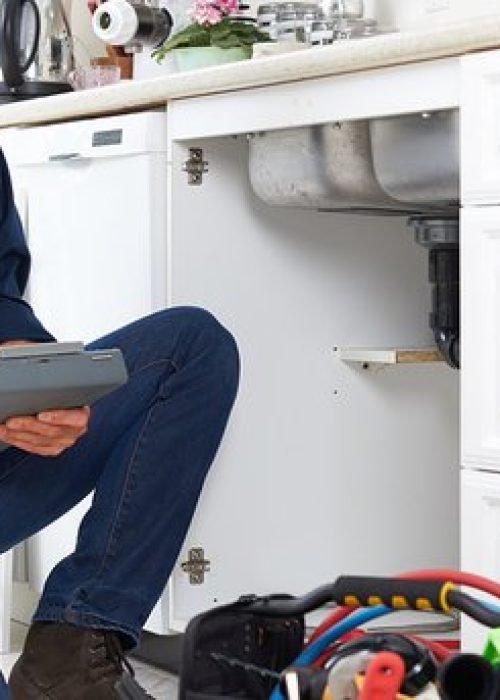 home-inspector-inspect.2e16d0ba.fill-685x343.format-jpeg